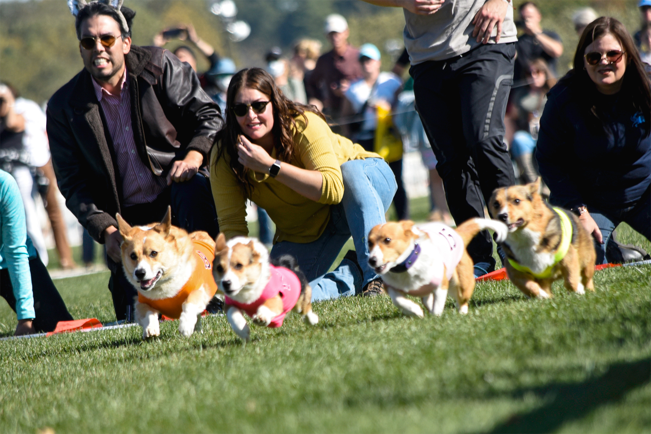 Maryalnd 5-Star Jumping Event