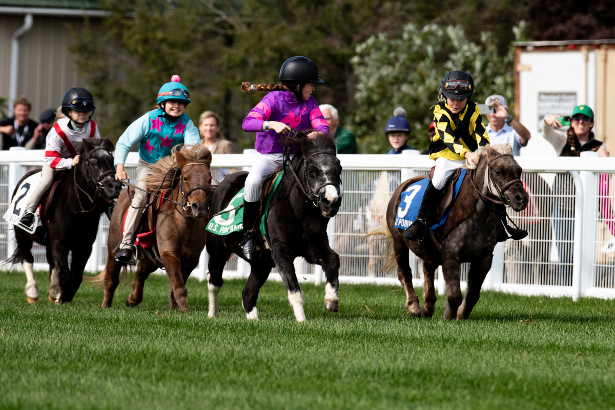 Shetland pony races, four girls riding with passion, trying to cross the finish line ahead of the rest