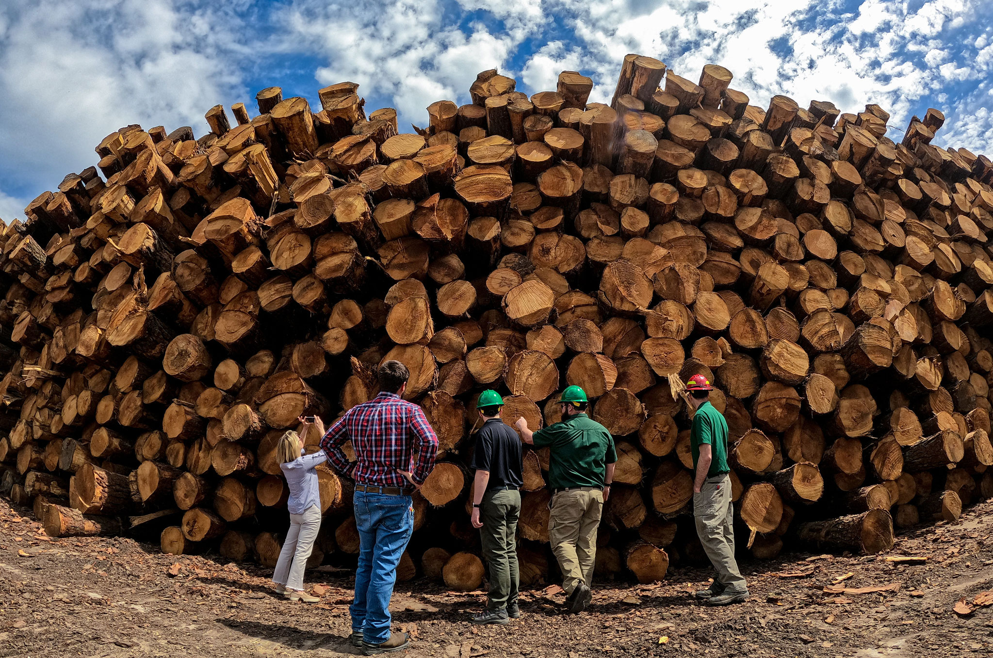 People standing in front of a pile of cut timber