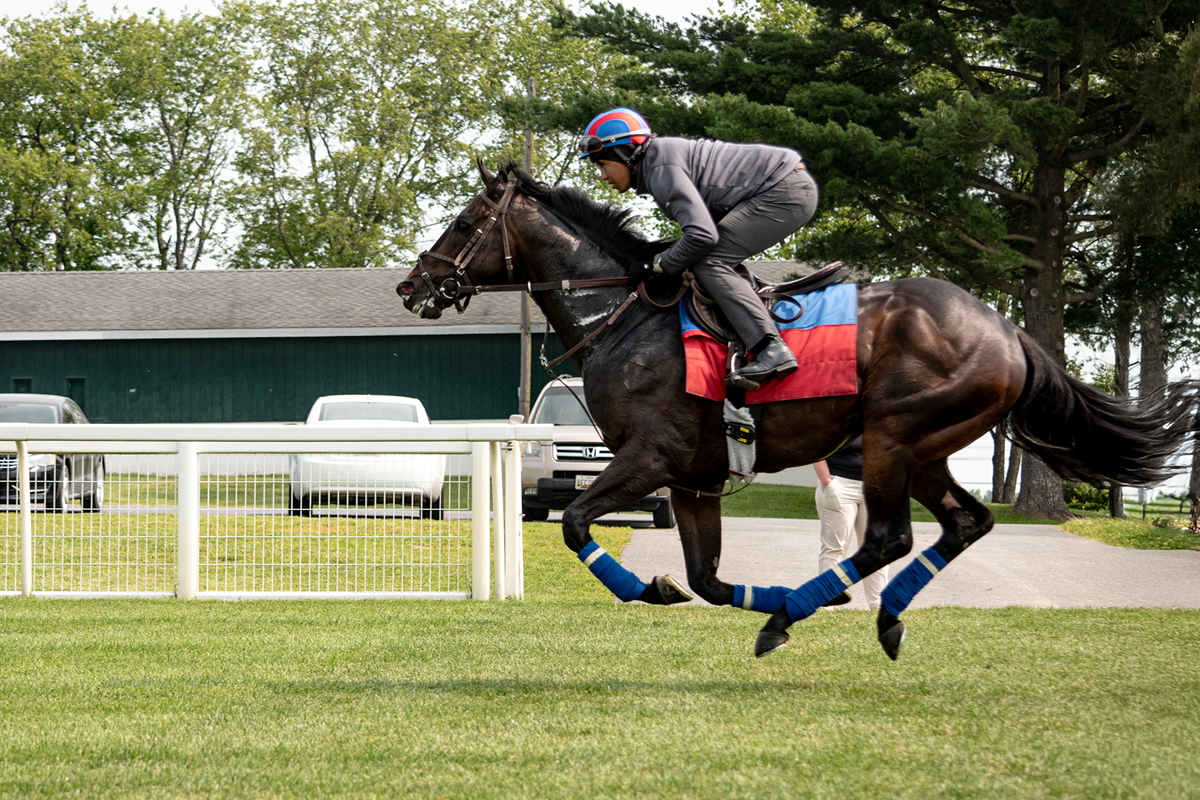 horse and jocky frozen as they pass by