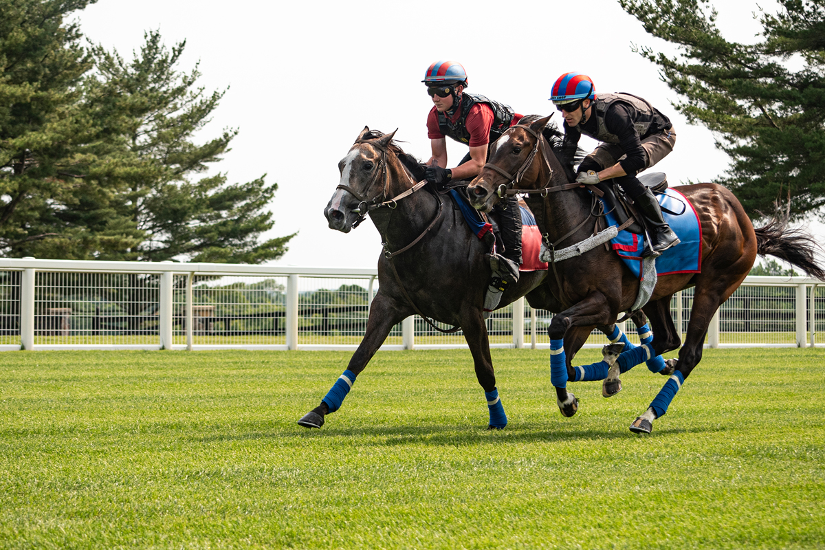 pair of riders approaching neck and neck