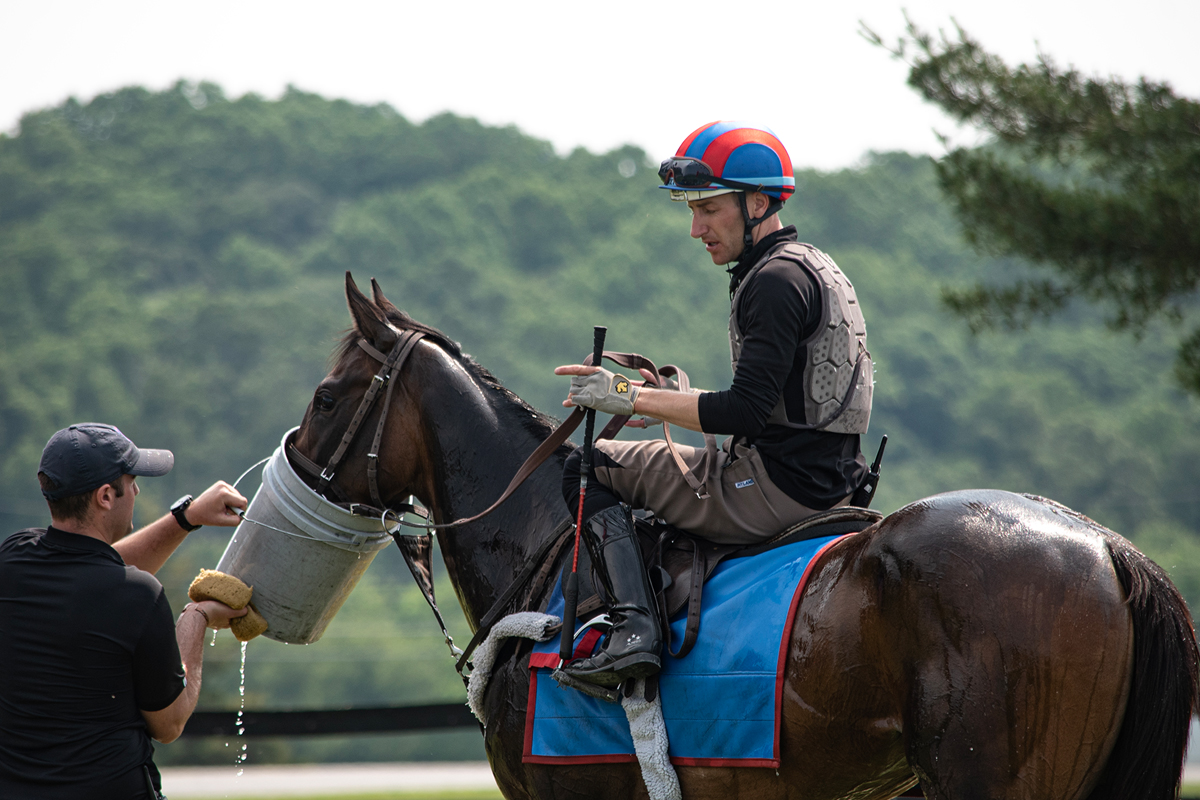 Debreif and quick rubdown after a run, horse is getting a drink from a bucket