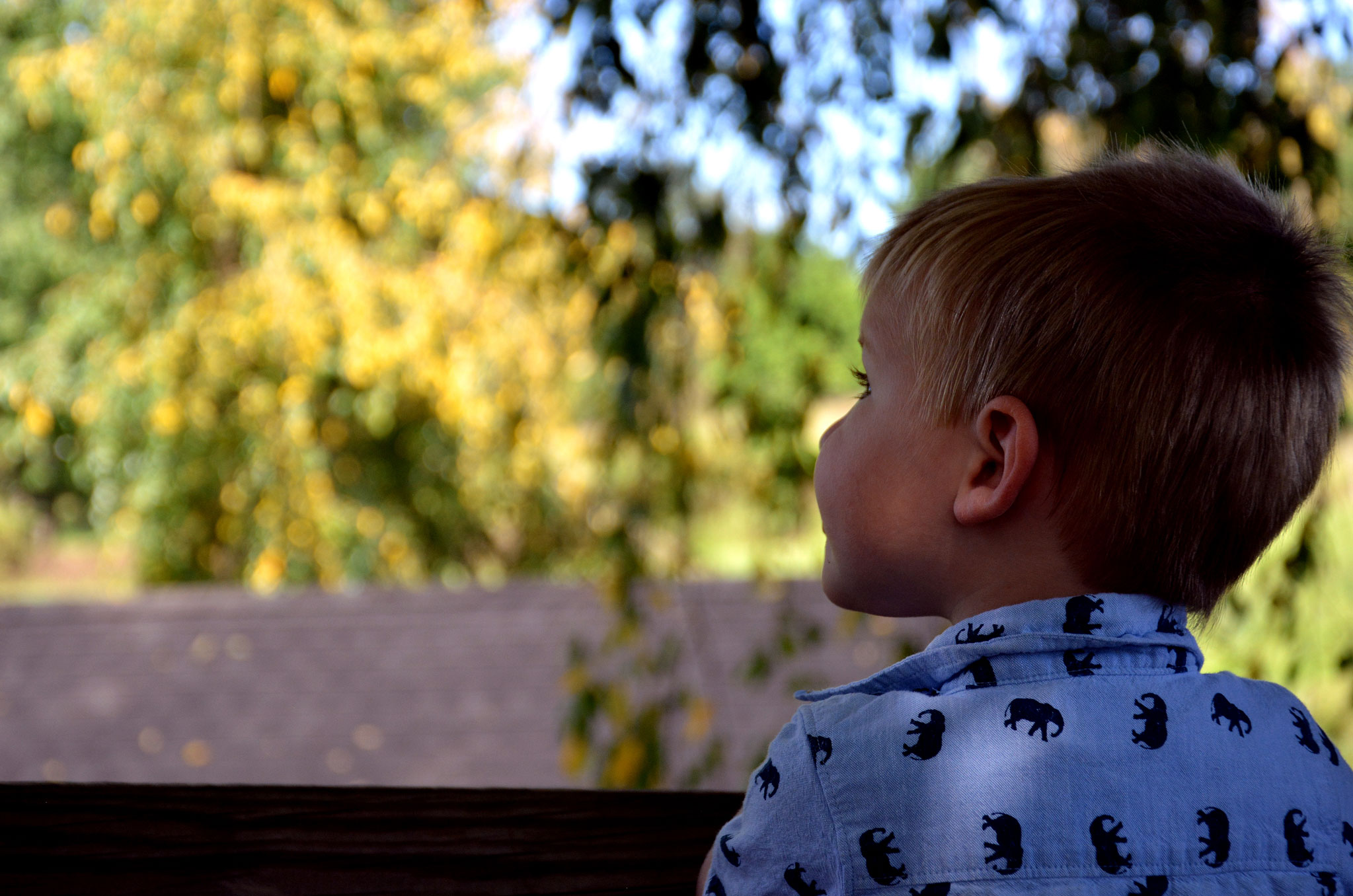 Kid looking up to the sky
