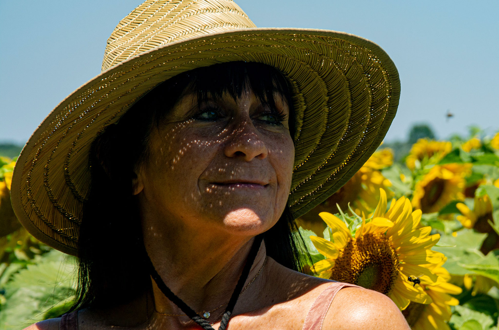 Cee Cee in sunflower field